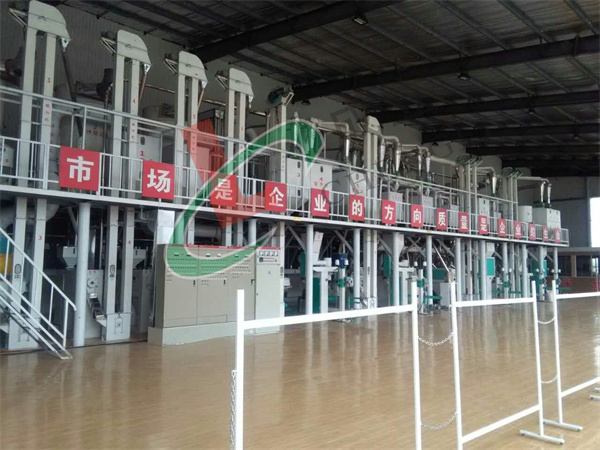 120噸玉米加工設備